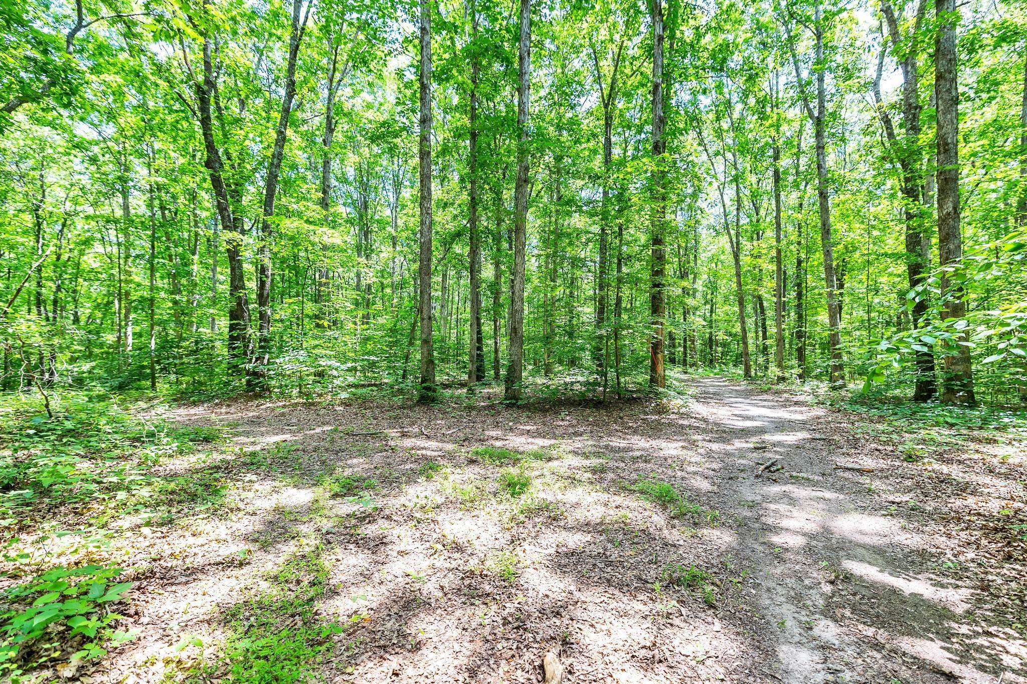 2. Land for Sale at 1391 Fairview Blvd Fairview, Tennessee 37062 United States