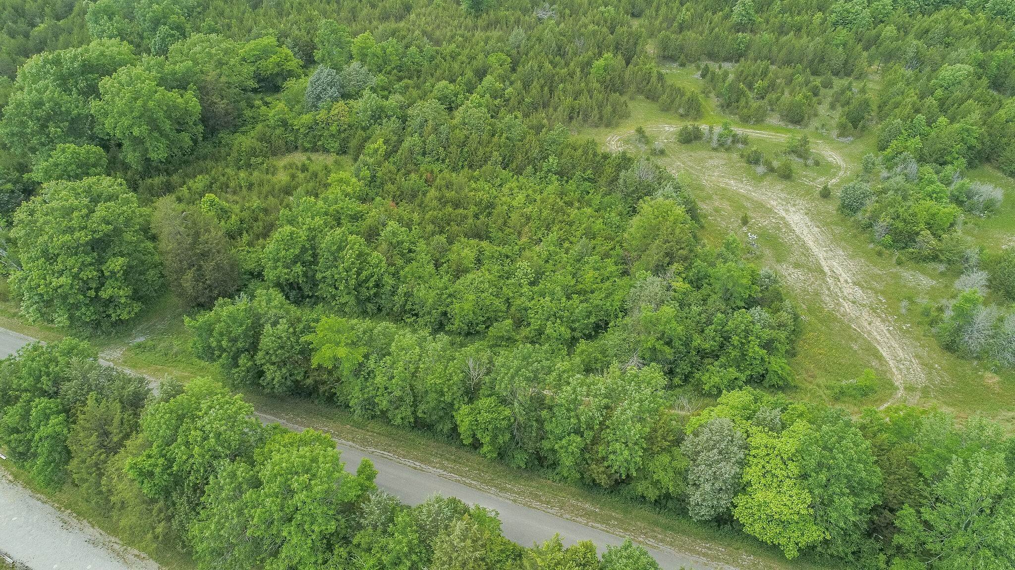 12. Land for Sale at 1703 Luther Sharp Road Columbia, Tennessee 38401 United States