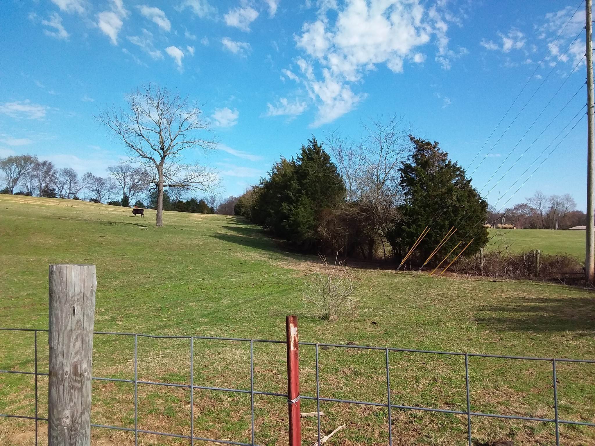 3. Land for Sale at Cooks Lane Smyrna, Tennessee 37167 United States