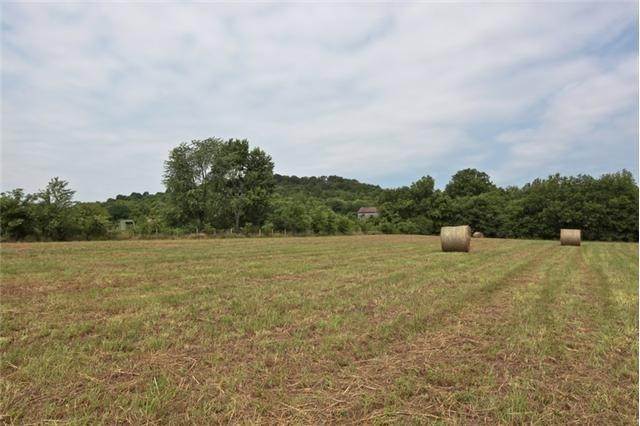 3. Land for Sale at Columbia Pike Thompsons Station, Tennessee 37179 United States