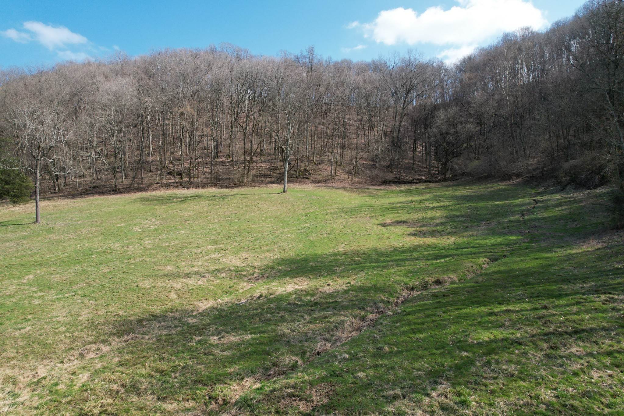 10. Land for Sale at 3833 Knight Drive Whites Creek, Tennessee 37189 United States