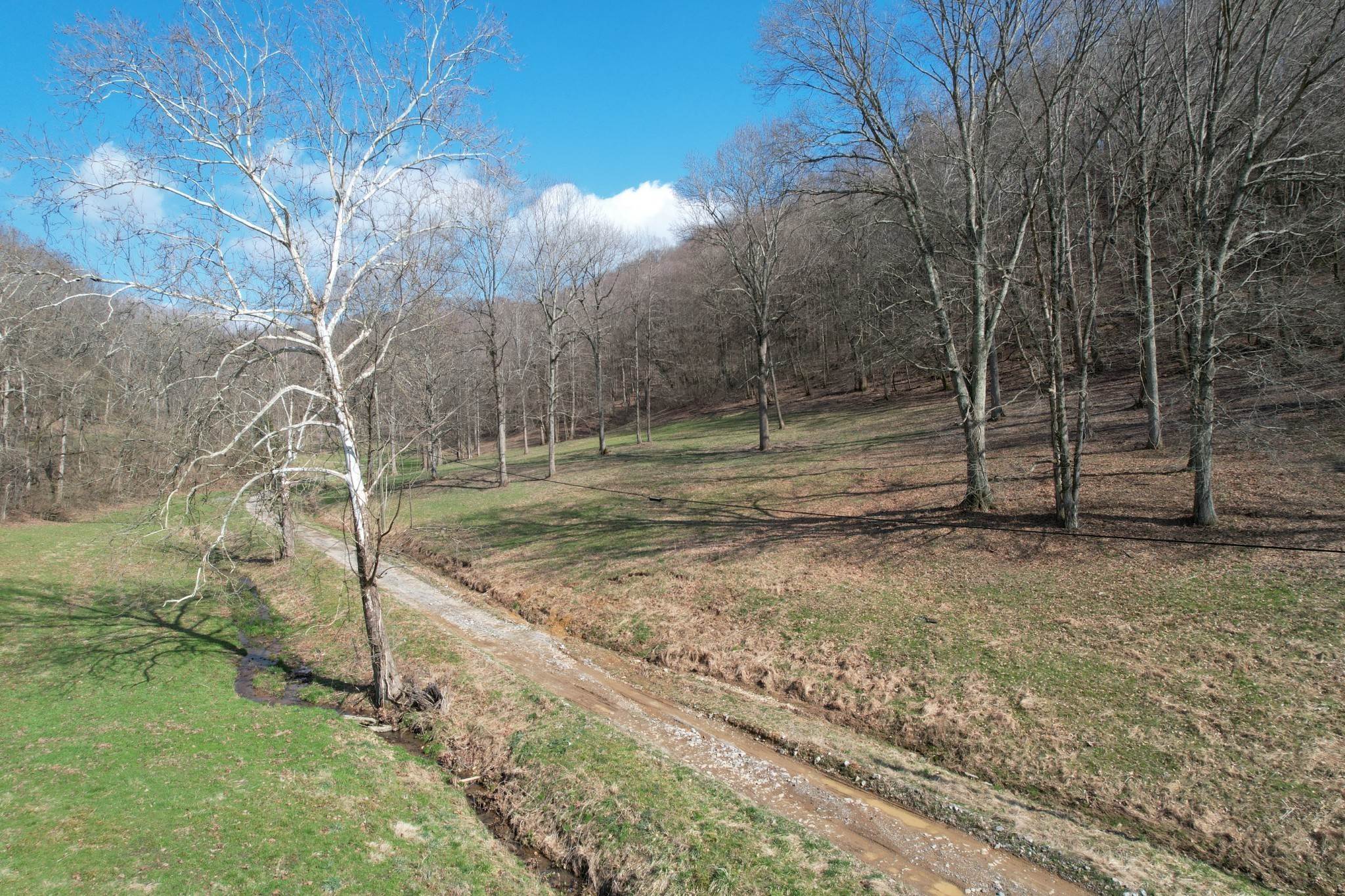 14. Land for Sale at 3833 Knight Drive Whites Creek, Tennessee 37189 United States