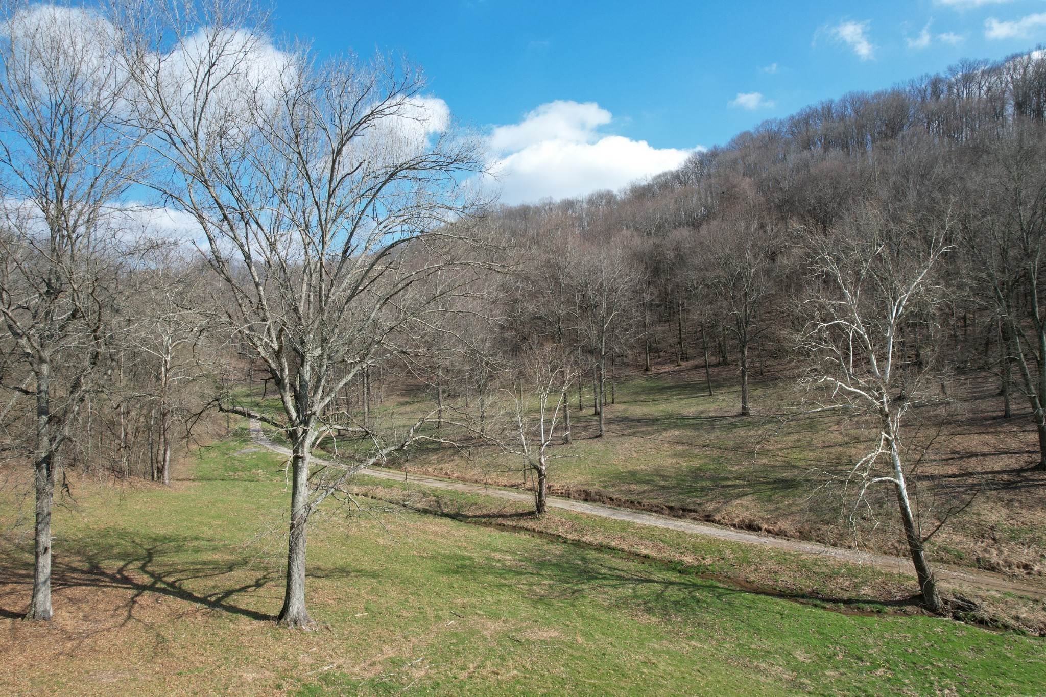 2. Land for Sale at 3833 Knight Drive Whites Creek, Tennessee 37189 United States