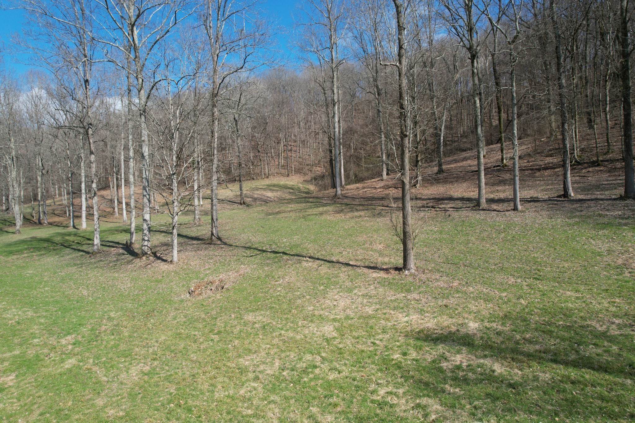 3. Land for Sale at 3833 Knight Drive Whites Creek, Tennessee 37189 United States