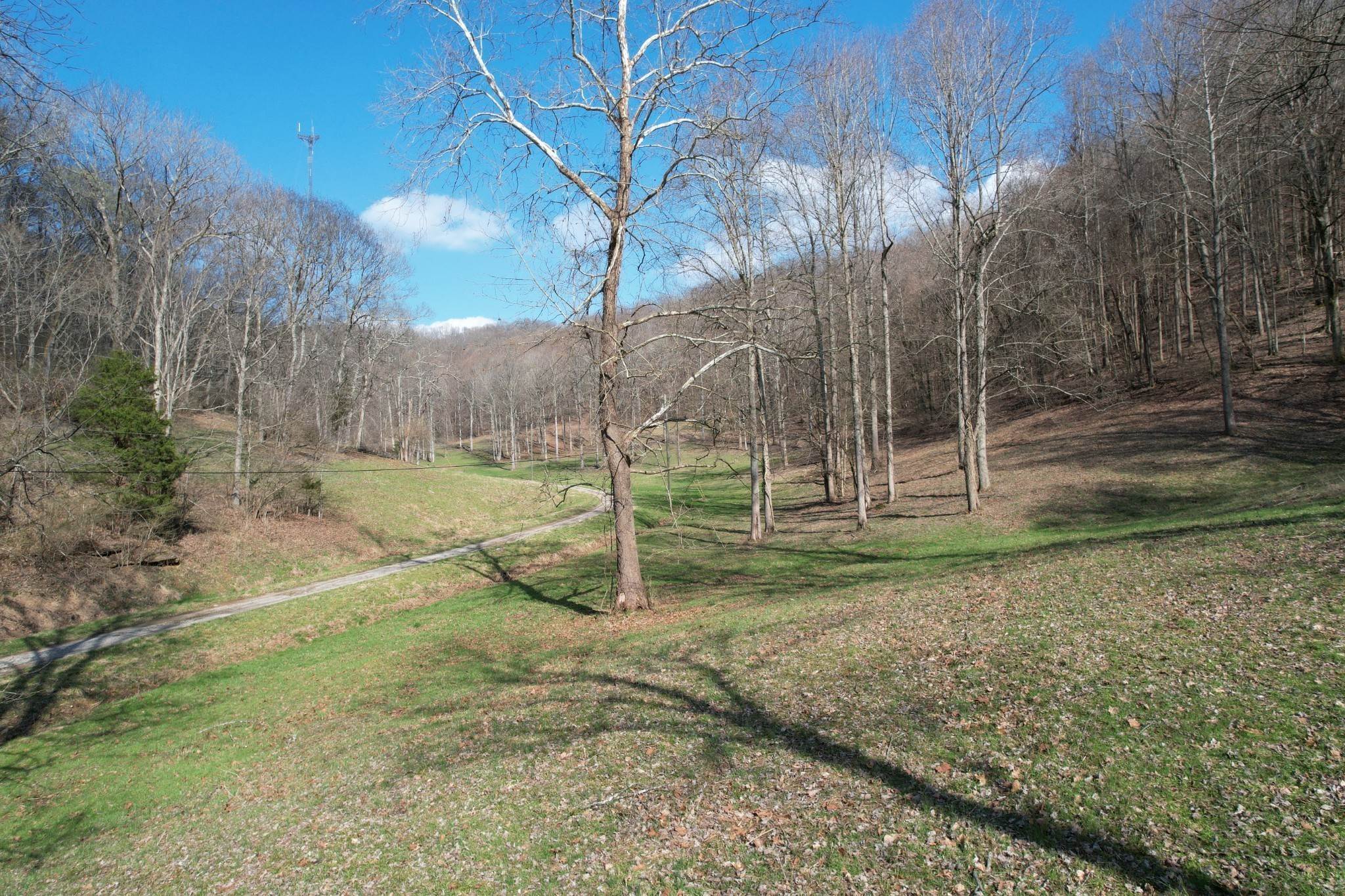 38. Land for Sale at 3833 Knight Drive Whites Creek, Tennessee 37189 United States