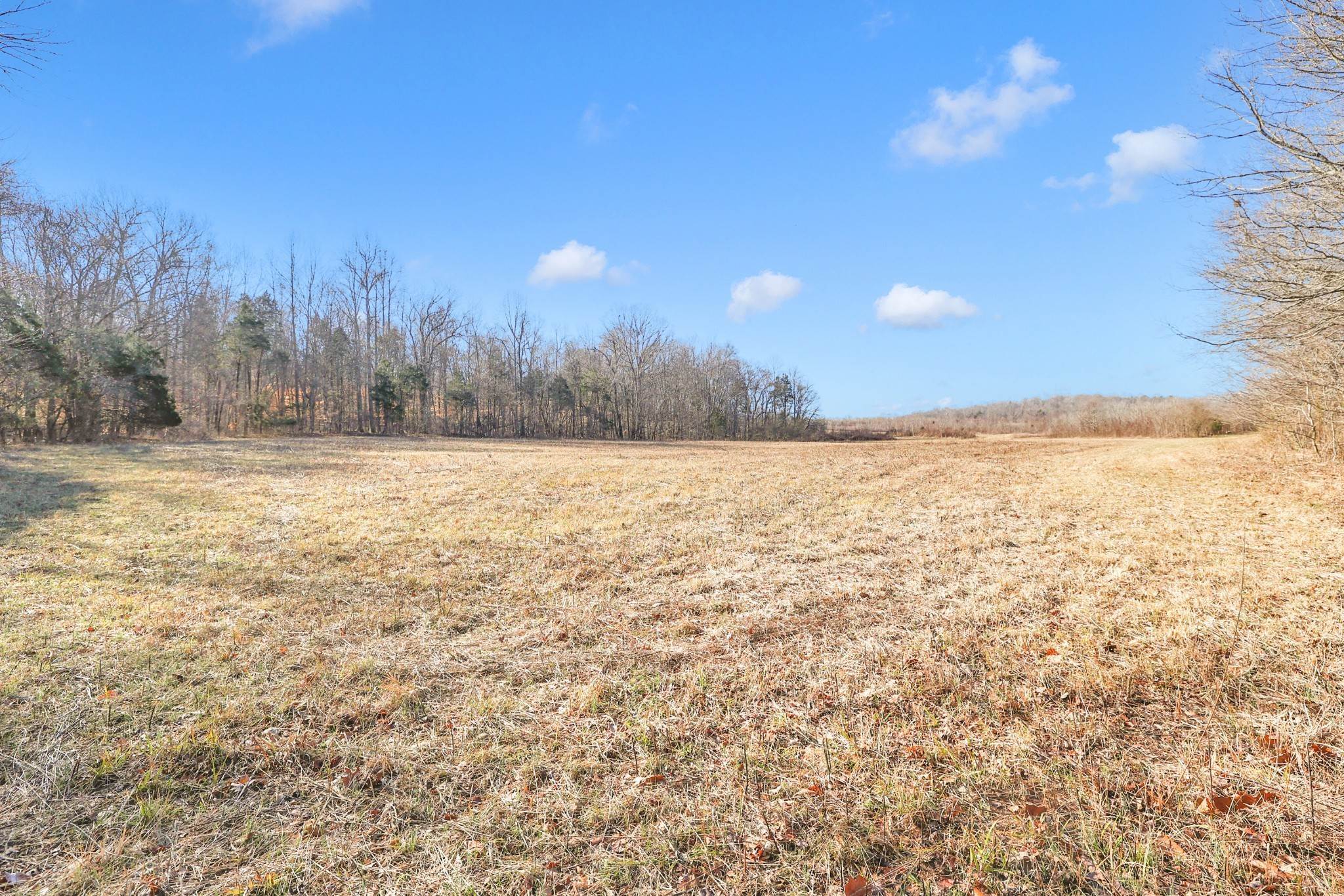22. Land for Sale at Mathis Road Charlotte, Tennessee 37036 United States