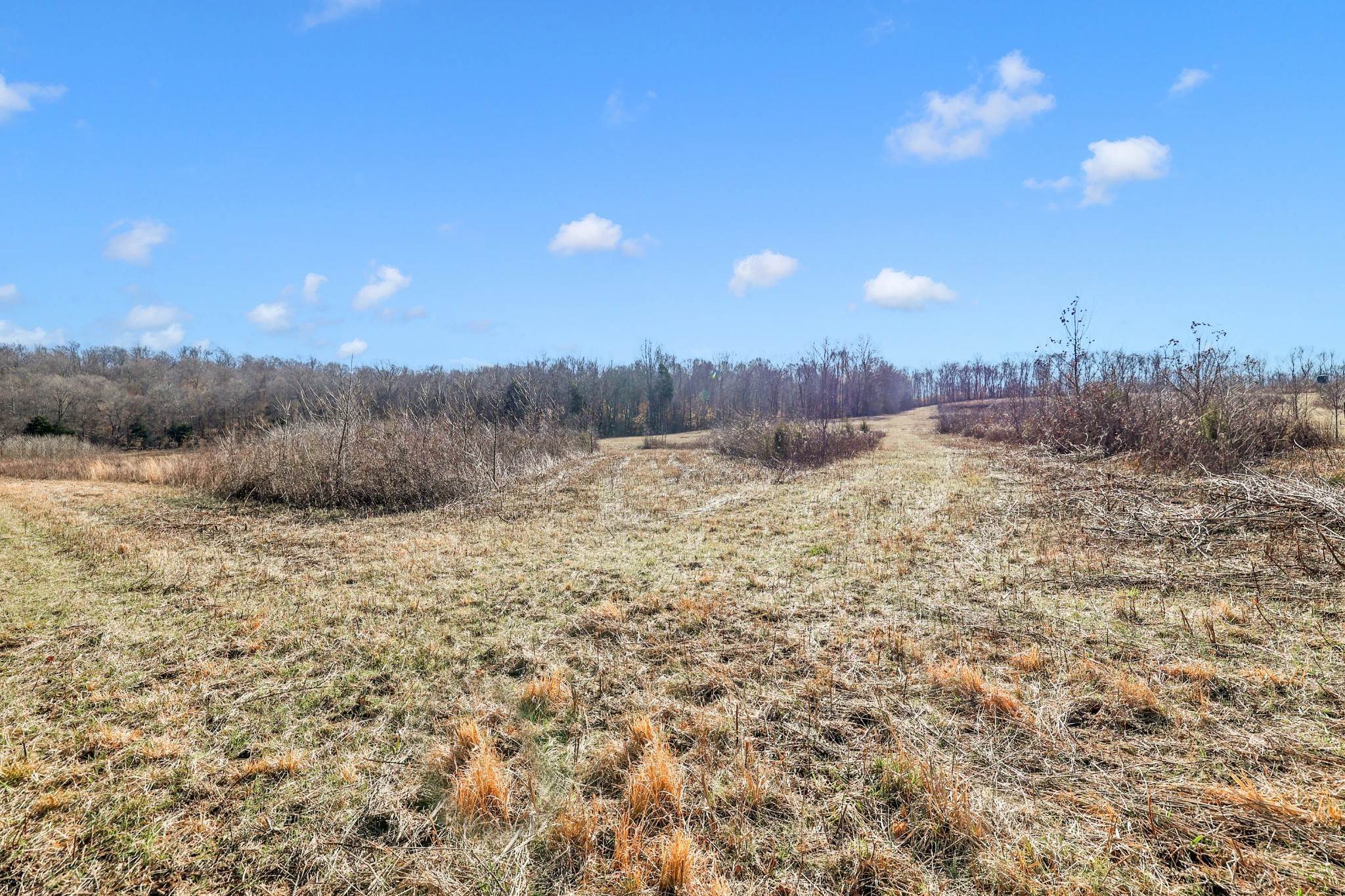 33. Land for Sale at Mathis Road Charlotte, Tennessee 37036 United States