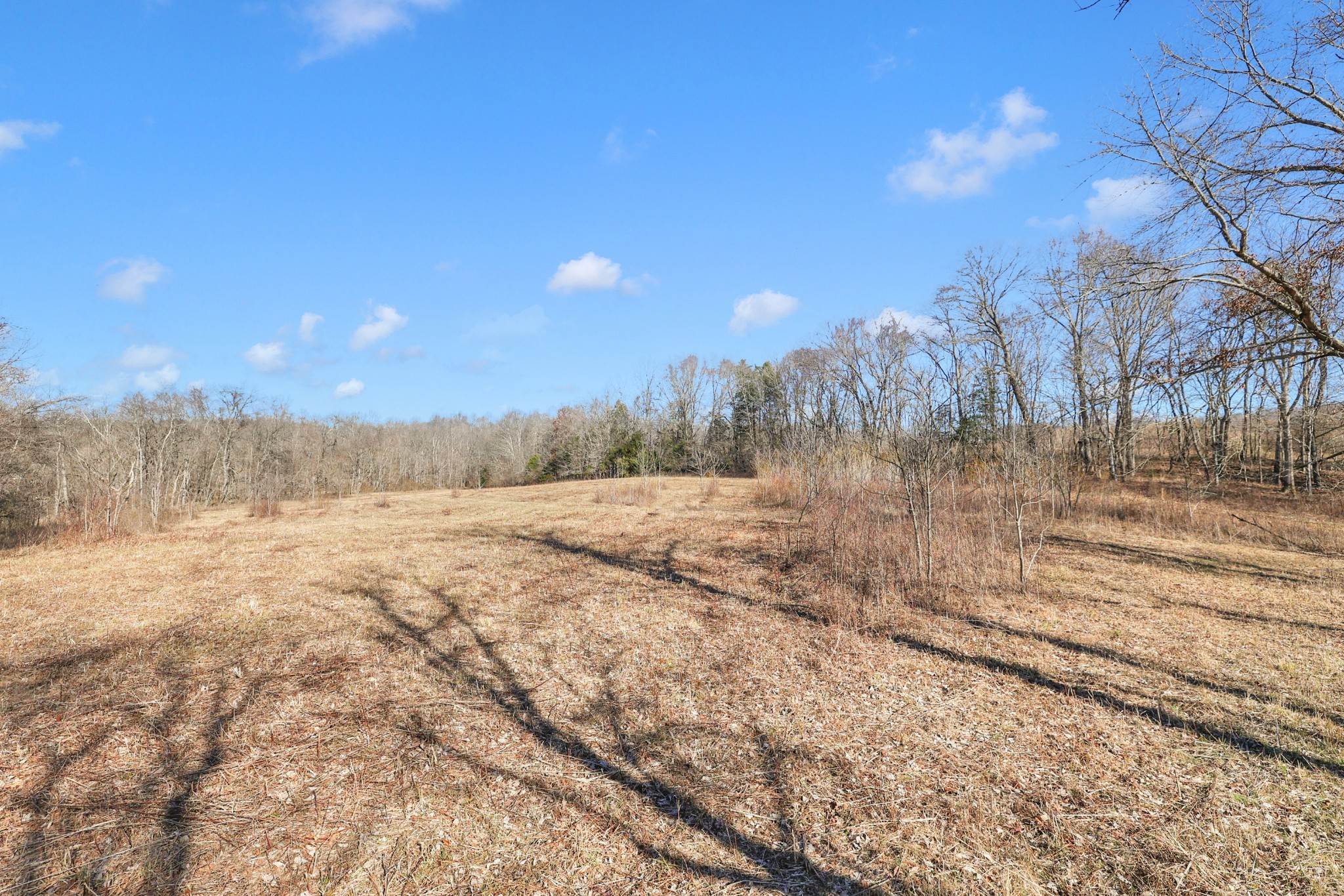 44. Land for Sale at Mathis Road Charlotte, Tennessee 37036 United States