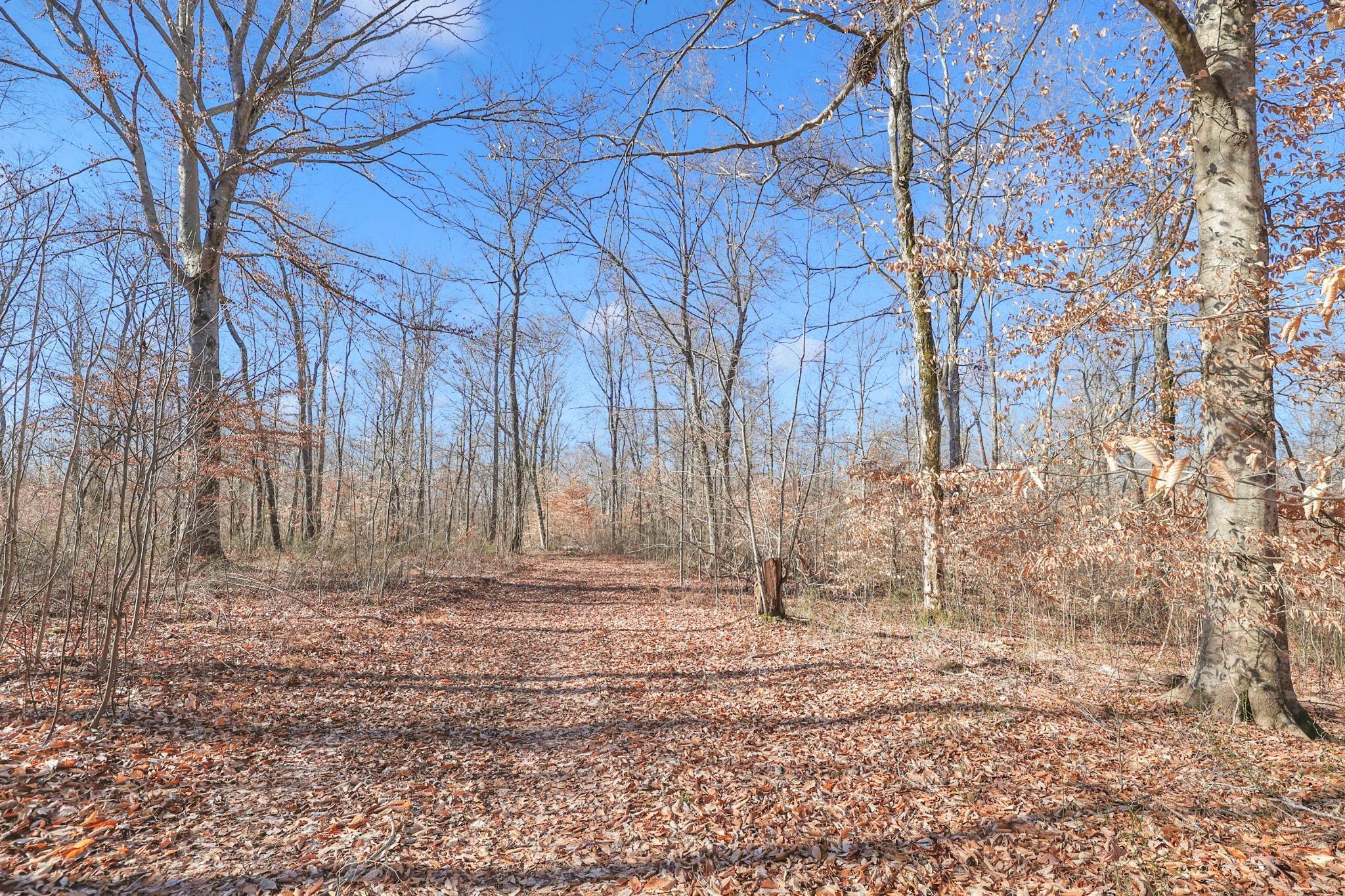 11. Land for Sale at Mathis Road Charlotte, Tennessee 37036 United States