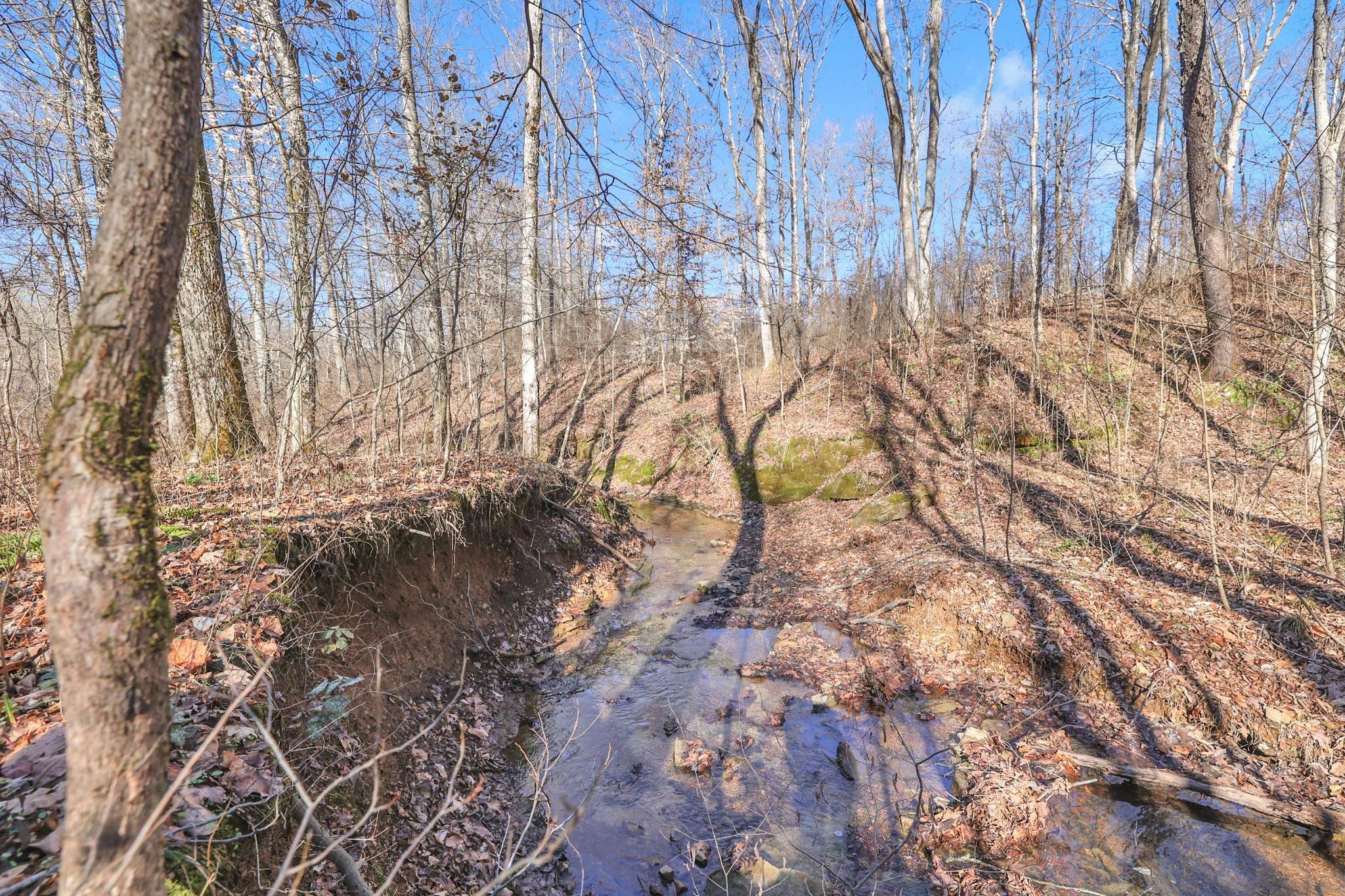 48. Land for Sale at Mathis Road Charlotte, Tennessee 37036 United States