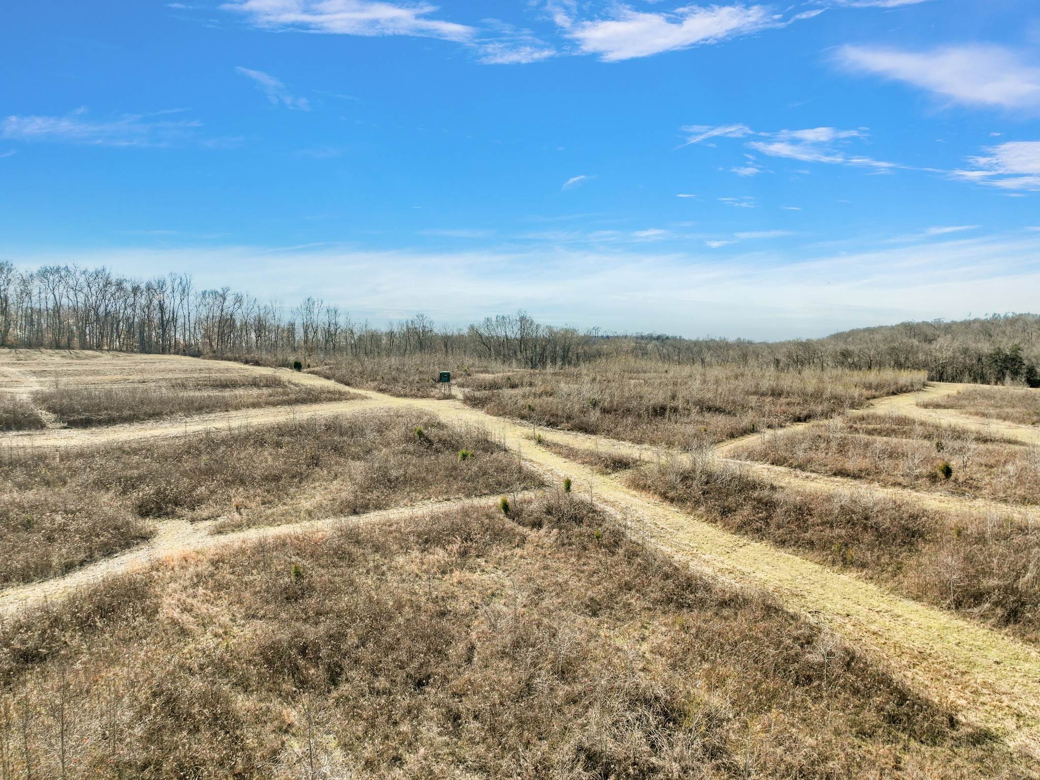 31. Land for Sale at Mathis Road Charlotte, Tennessee 37036 United States