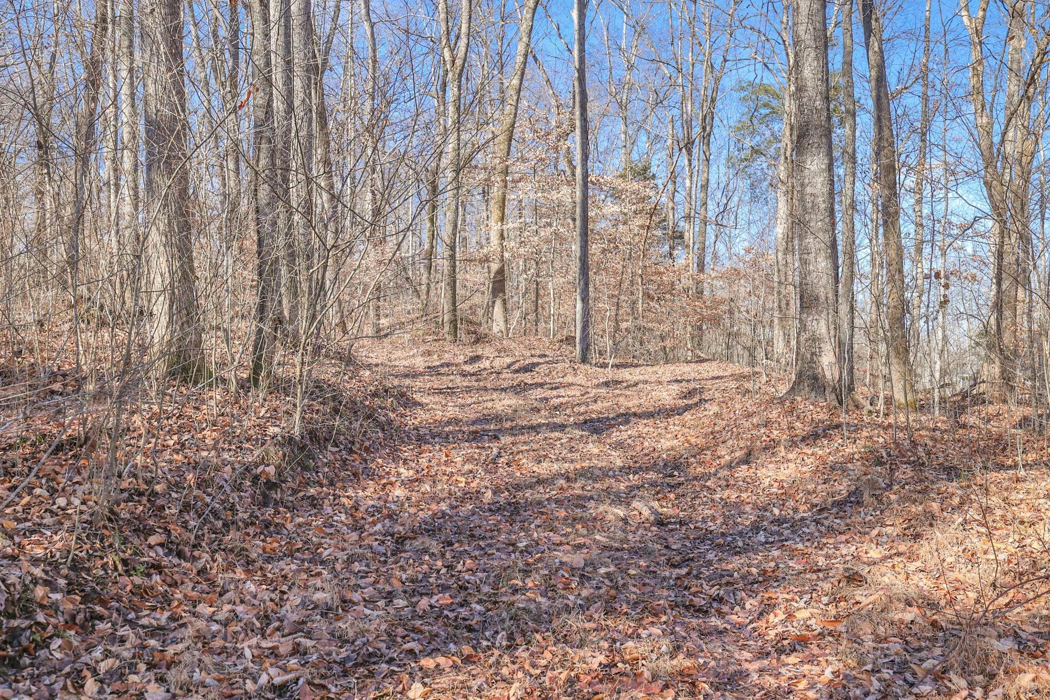 8. Land for Sale at Mathis Road Charlotte, Tennessee 37036 United States