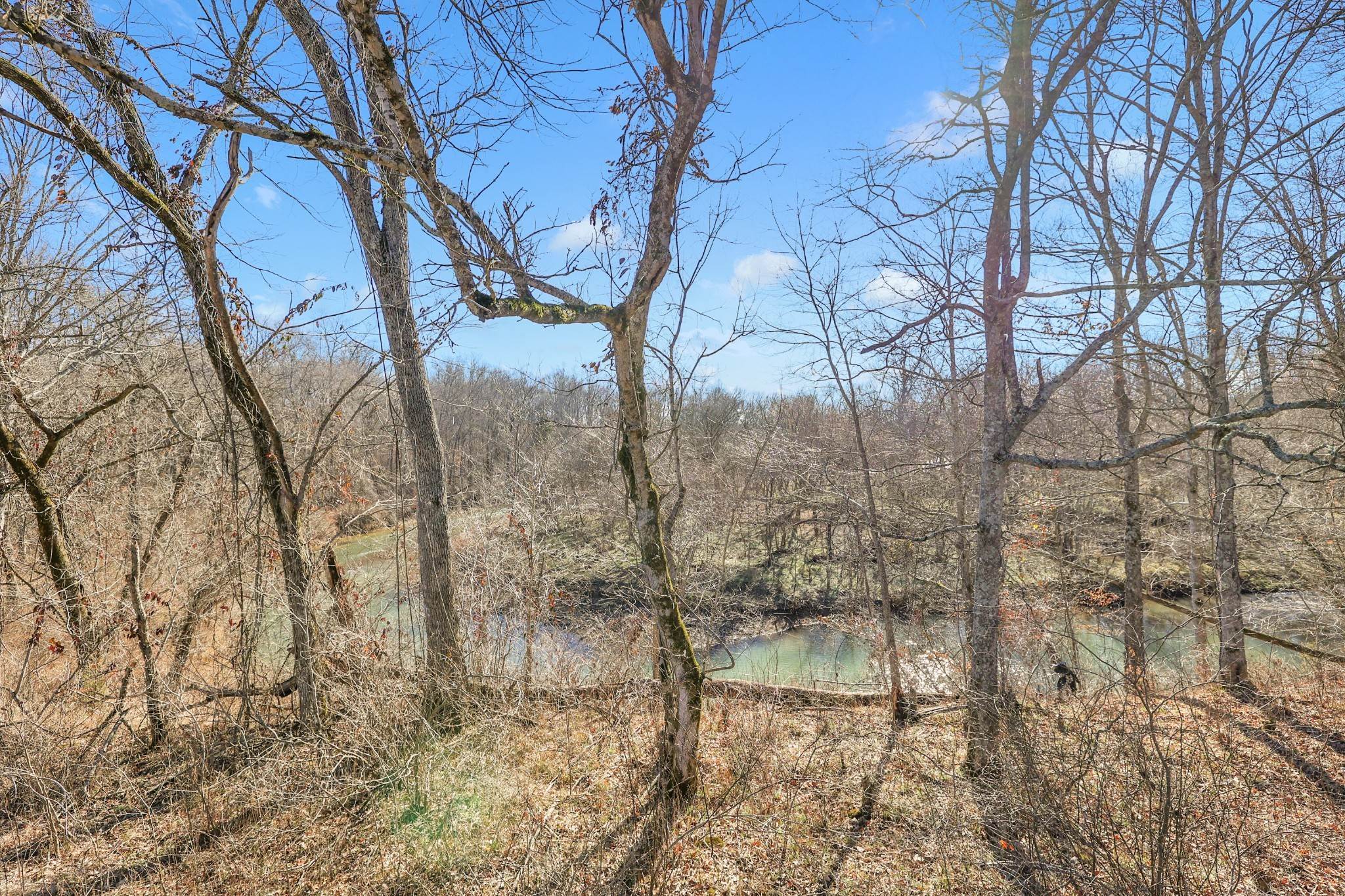 41. Land for Sale at Mathis Road Charlotte, Tennessee 37036 United States