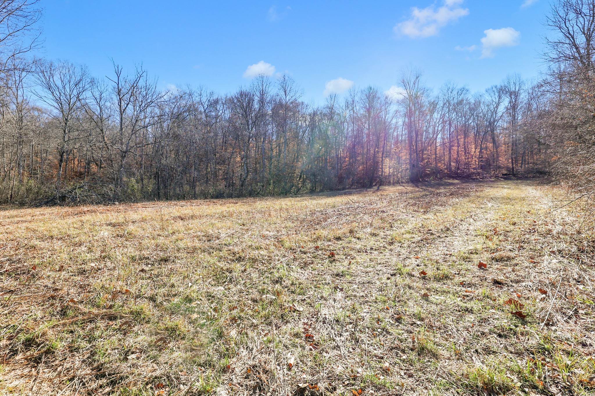 24. Land for Sale at Mathis Road Charlotte, Tennessee 37036 United States