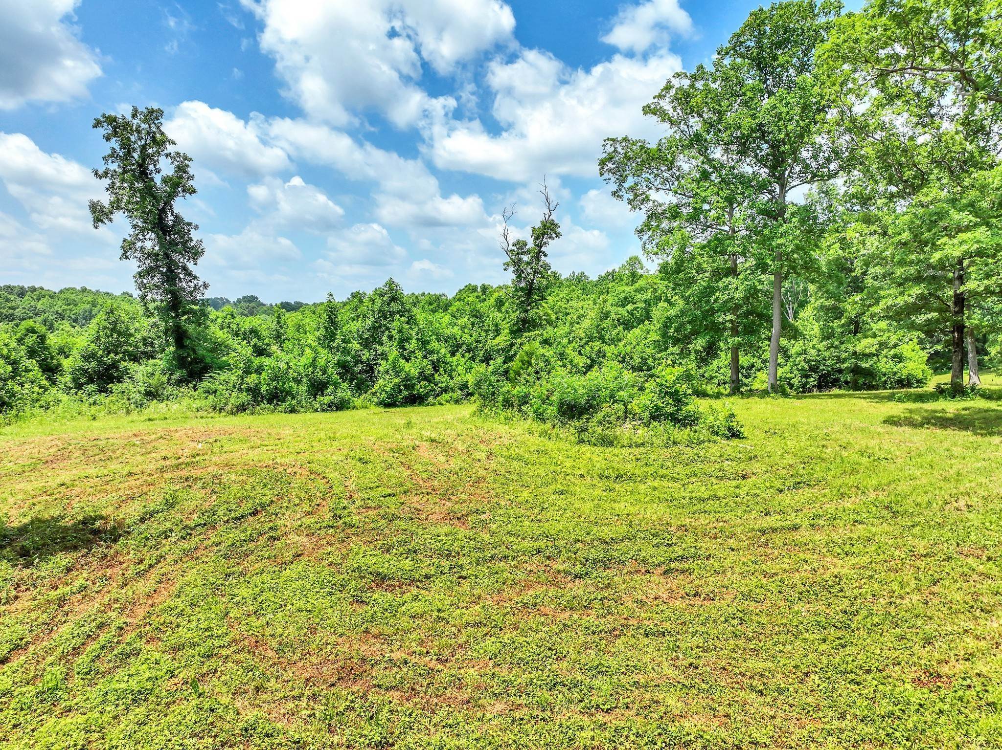 49. Farm for Sale at 5185 Old Harding Road Franklin, Tennessee 37064 United States
