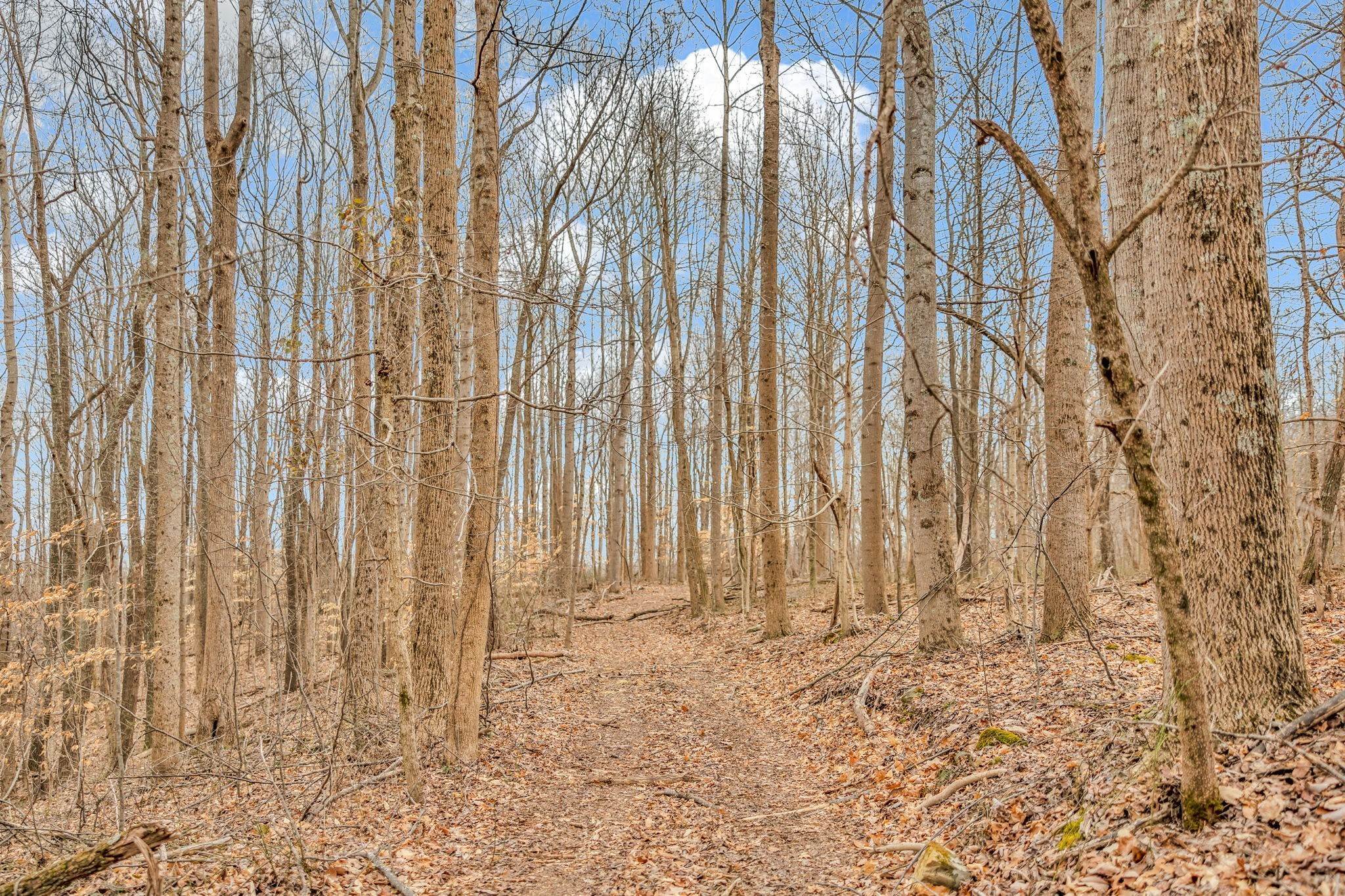 36. Farm for Sale at 811 Clay Lick Court Whites Creek, Tennessee 37189 United States