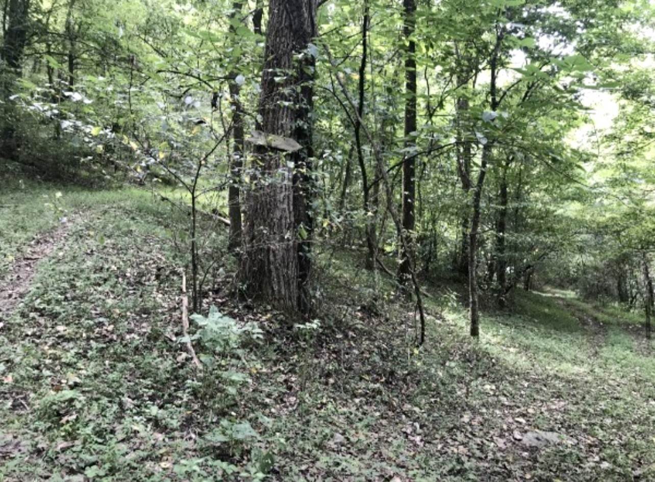 23. Land for Sale at 642 Club Springs Road Buffalo Valley, Tennessee 38548 United States