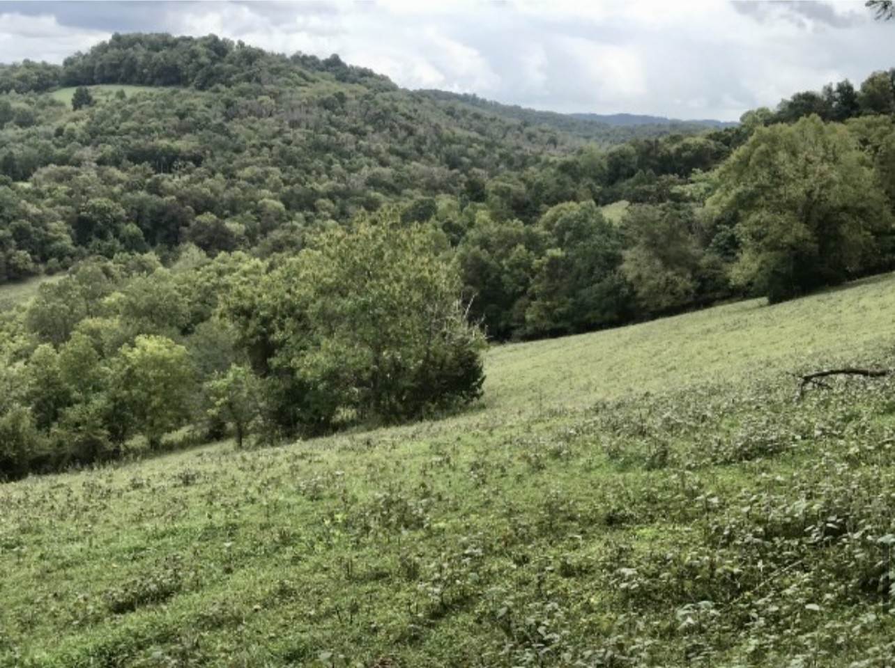 26. Land for Sale at 642 Club Springs Road Buffalo Valley, Tennessee 38548 United States