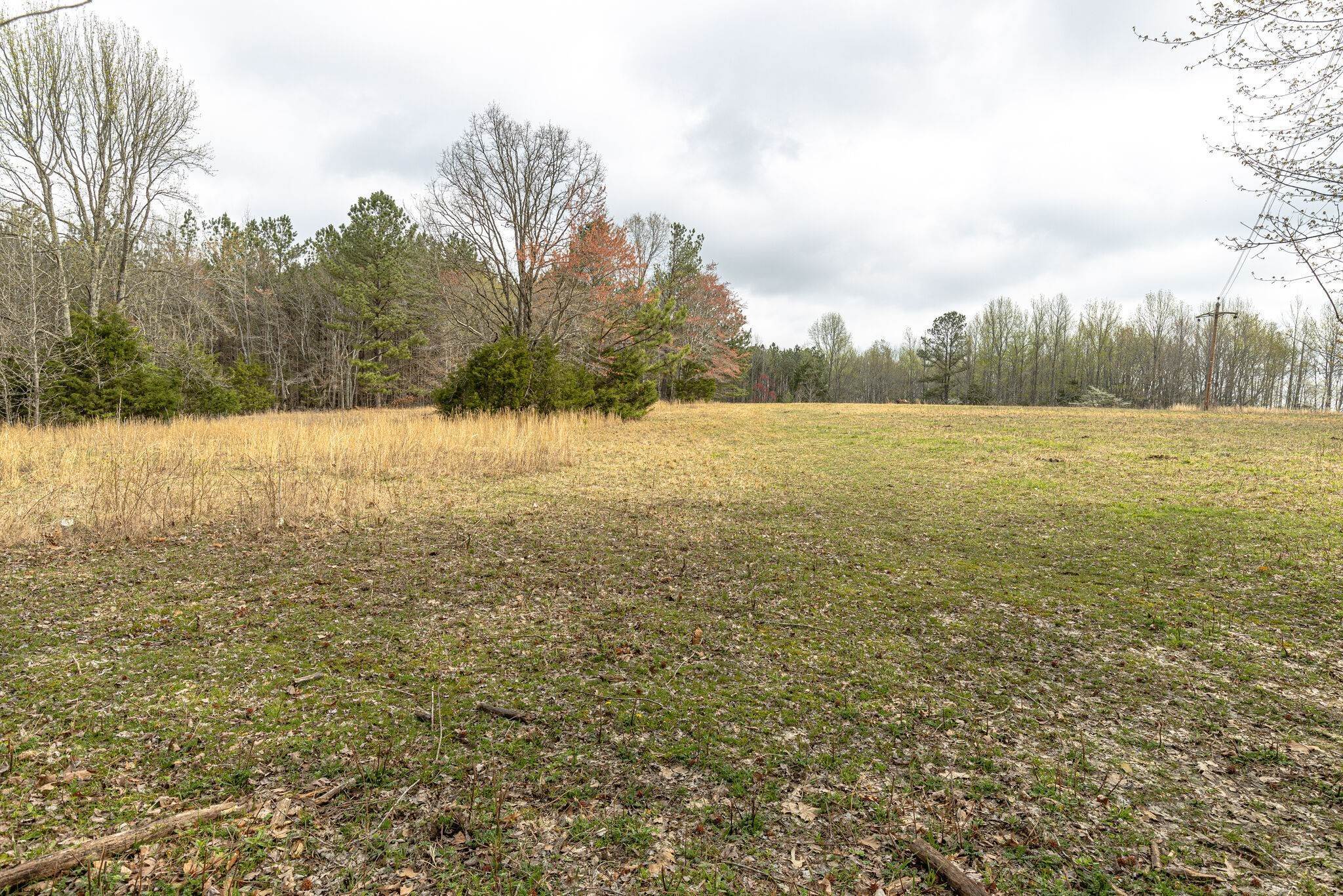 5. Land for Sale at Old Franklin Road Fairview, Tennessee 37062 United States
