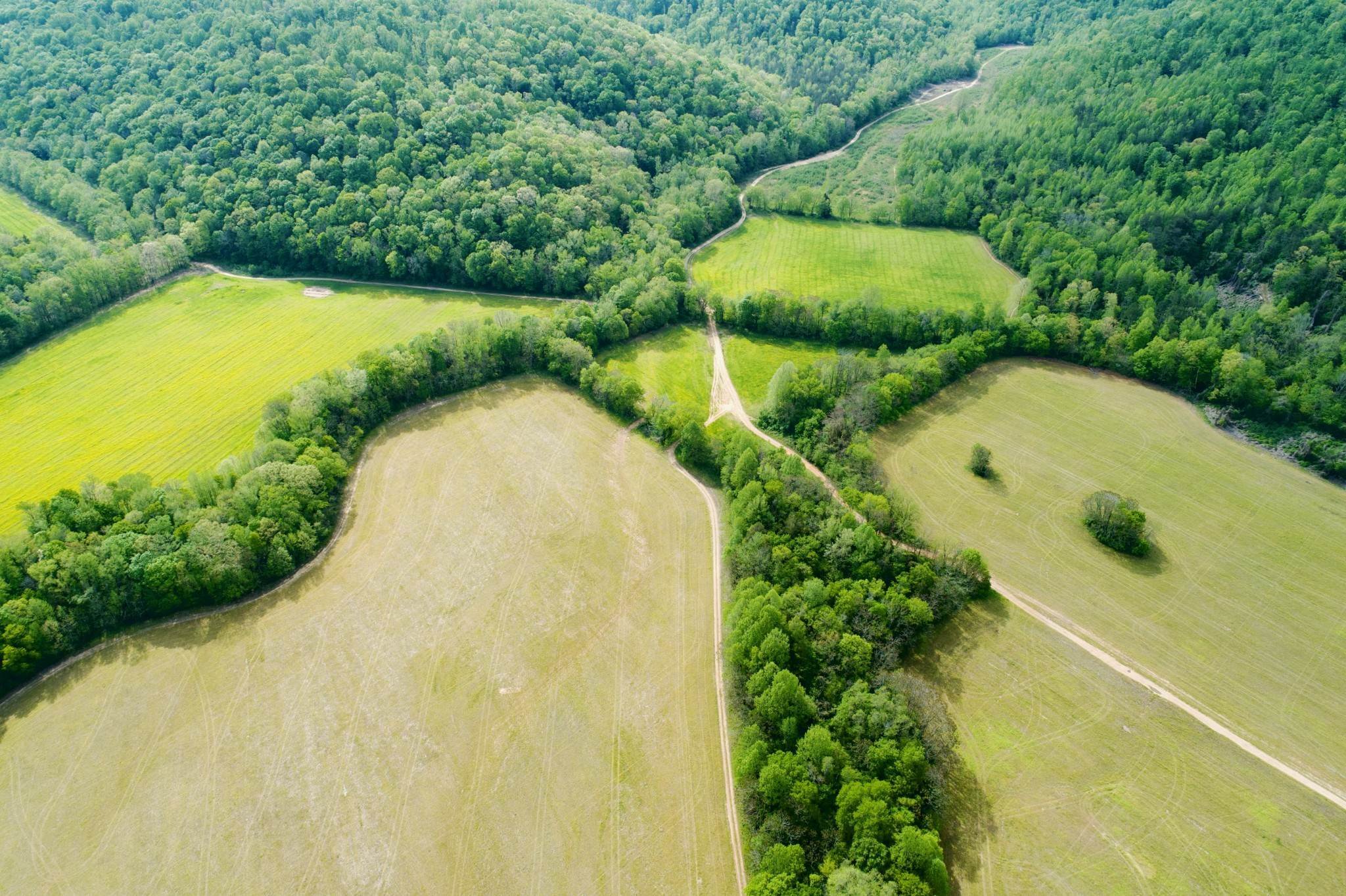 Farm for Sale at 1 Monterey Hwy Monterey, Tennessee 38574 United States