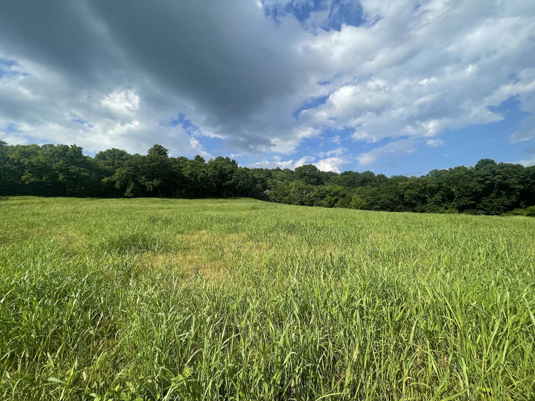 Farm for Sale at 3104 Swindell Hollow Road Lebanon, Tennessee 37087 United States