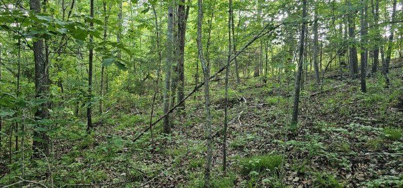 21. Land for Sale at Gibbs Road Ashland City, Tennessee 37015 United States