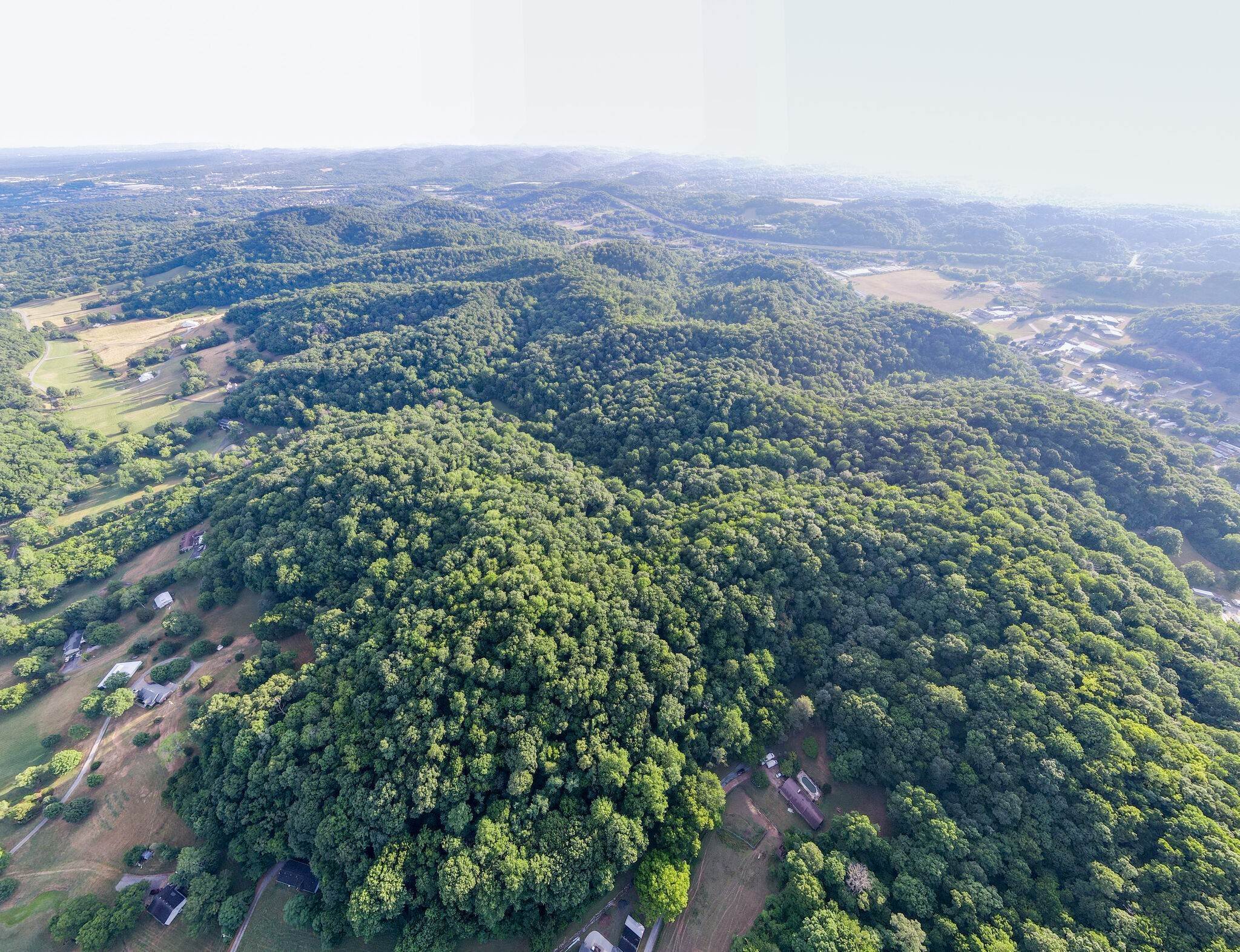 19. Land for Sale at Patton Branch Road Goodlettsville, Tennessee 37072 United States