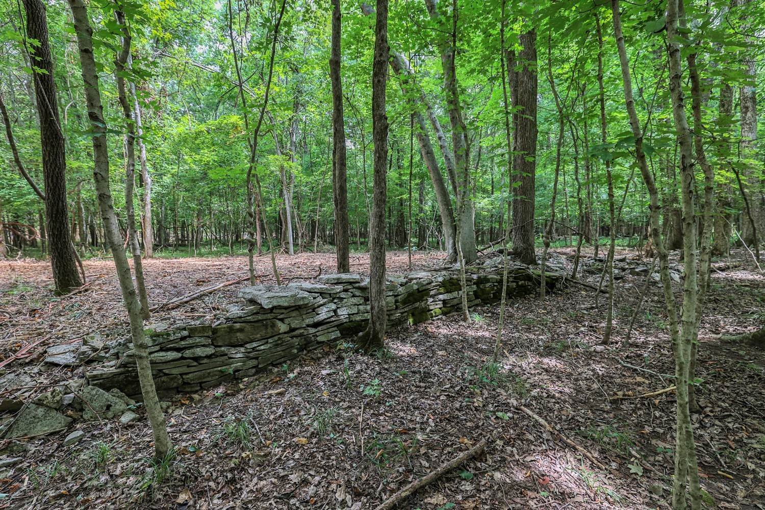 10. Land for Sale at Granny Wright Lane Hermitage, Tennessee 37076 United States