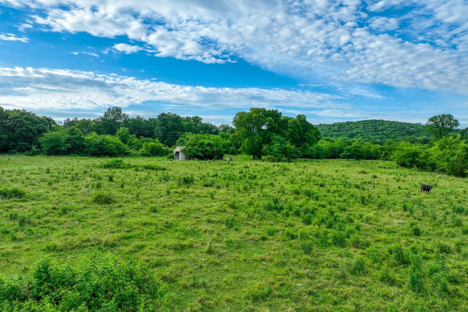 30. Farm for Sale at Elrod Mcelroy Road Milton, Tennessee 37118 United States