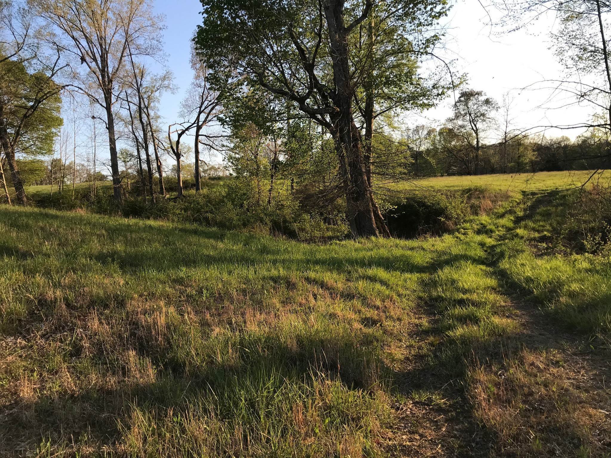 10. Land for Sale at Fairview Blvd. Fairview, Tennessee 37062 United States