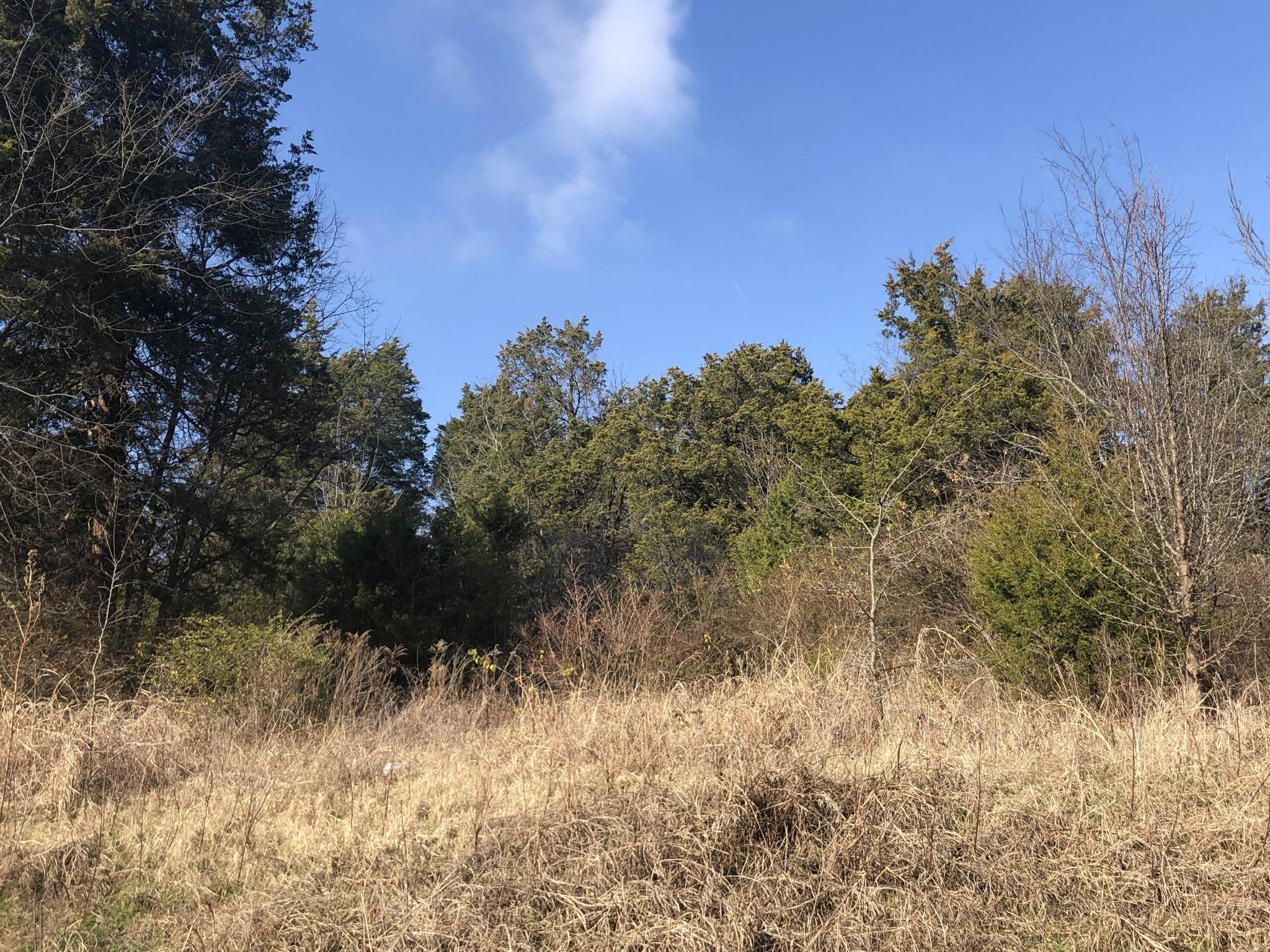 4. Land for Sale at 433 Old Hickory Blvd Antioch, Tennessee 37013 United States