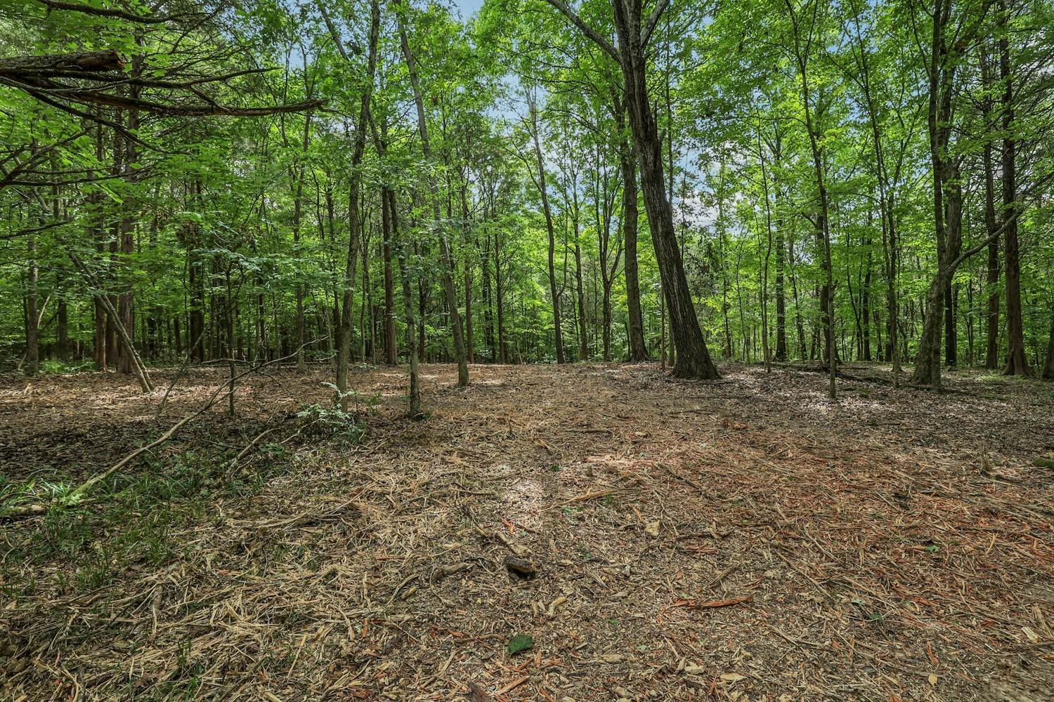 6. Land for Sale at Granny Wright Lane Hermitage, Tennessee 37076 United States