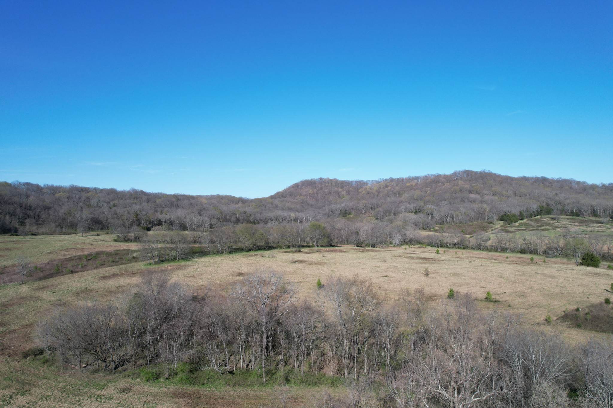 38. Land for Sale at 4080 Wilson Pike Franklin, Tennessee 37067 United States