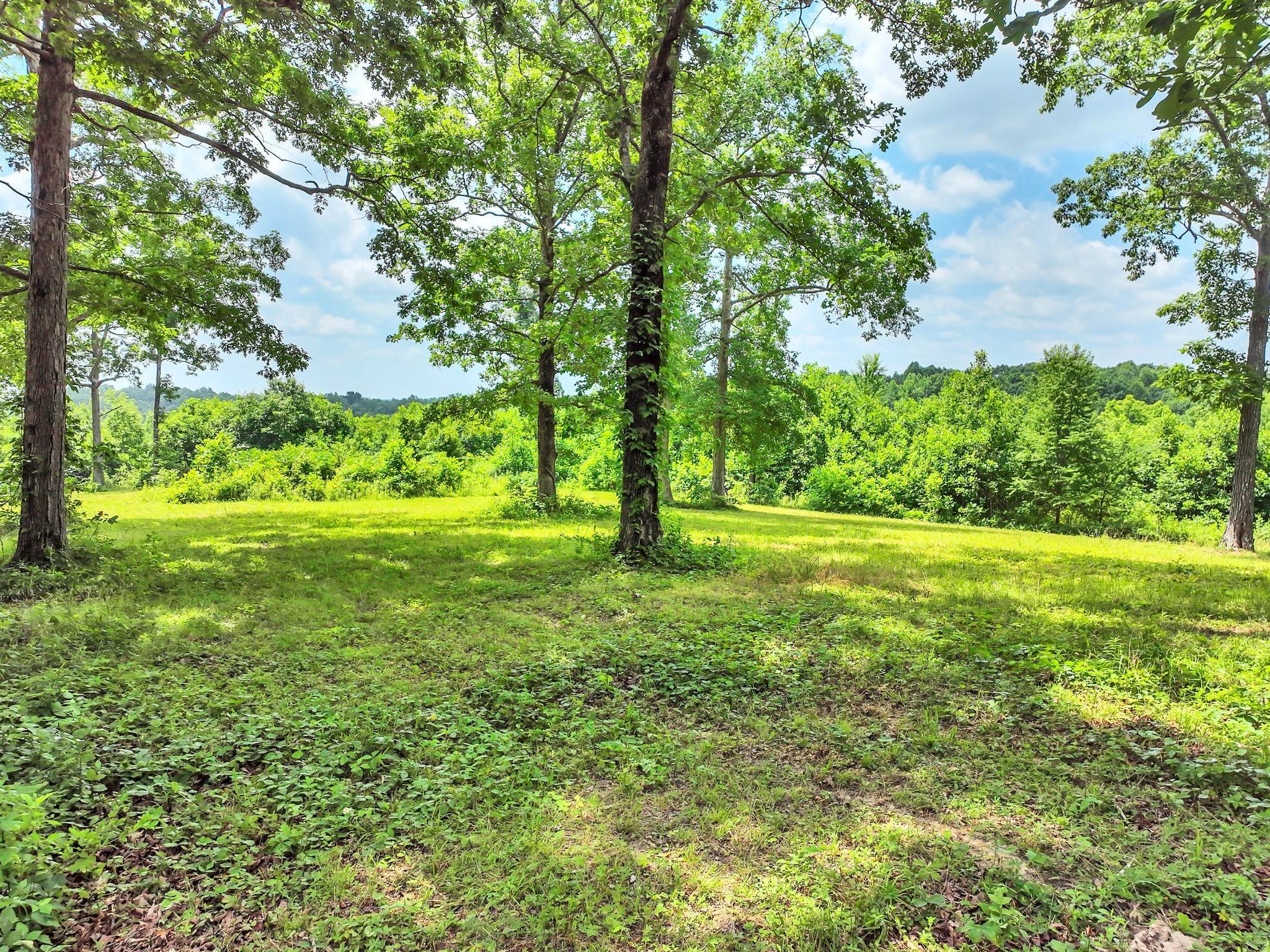 27. Land for Sale at 5185 Old Harding Road Franklin, Tennessee 37064 United States