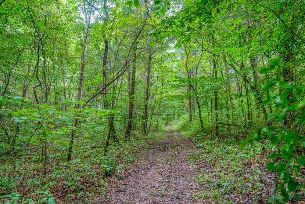 44. Land for Sale at 119 Gower Road Charlotte, Tennessee 37036 United States