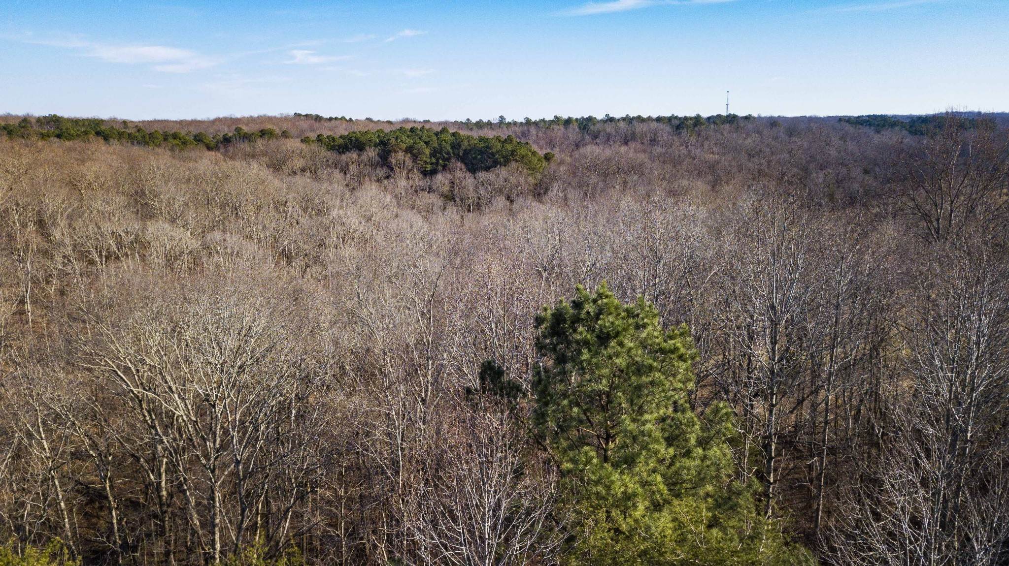 16. Land for Sale at Bahne Road Fairview, Tennessee 37062 United States