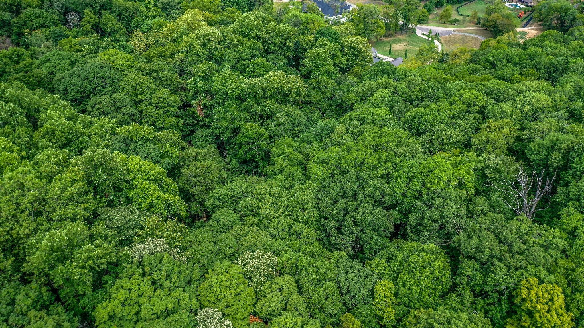 3. Land for Sale at 6452 Log Cabin Trl, Brentwood, TN, 37027 6452 Log Cabin Trl Brentwood, Tennessee 37027 United States