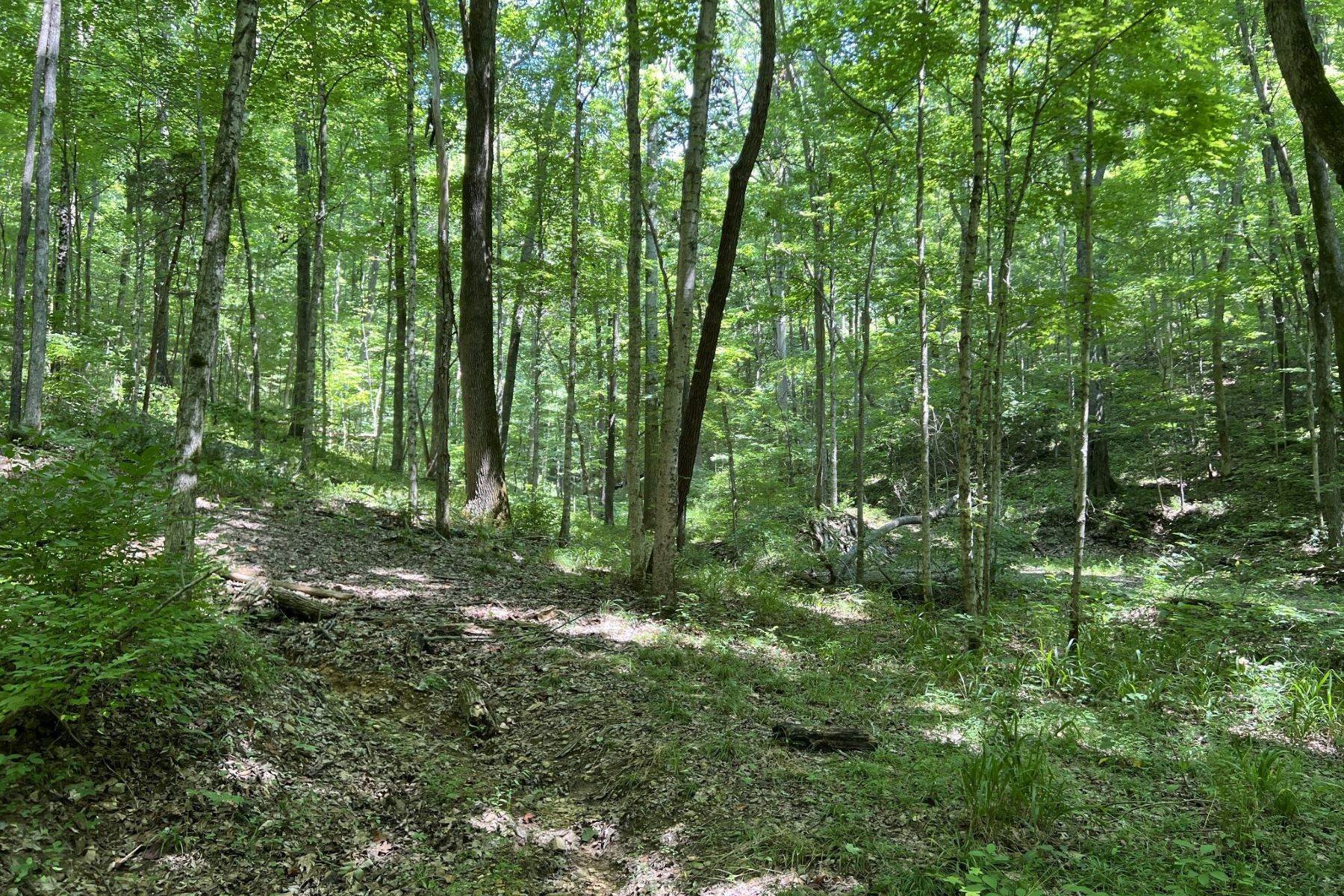 Land for Sale at 0 Off Indian Springs Rd, Pegram, TN, 37143 0 Off Indian Springs Rd Pegram, Tennessee 37143 United States